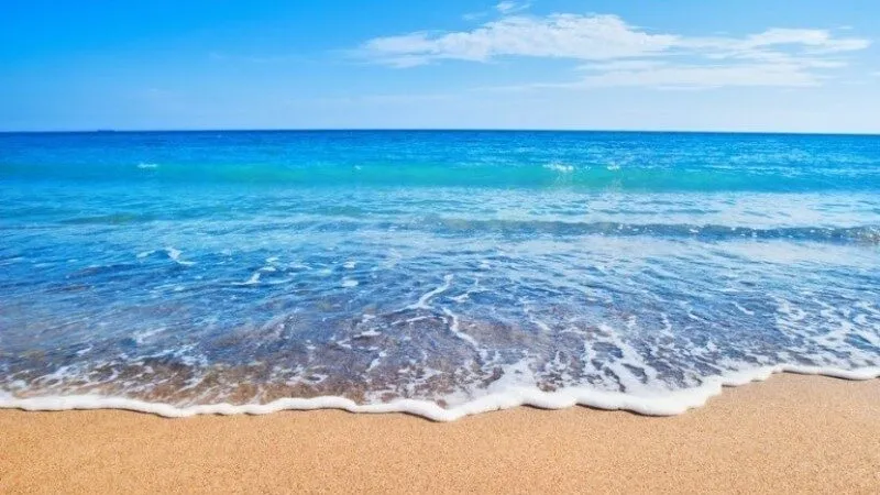 Mơ thấy nước biển rút là tín hiệu về tình hình sức khỏe Mơ thấy nước biển rút là tín hiệu về tình hình sức khỏe