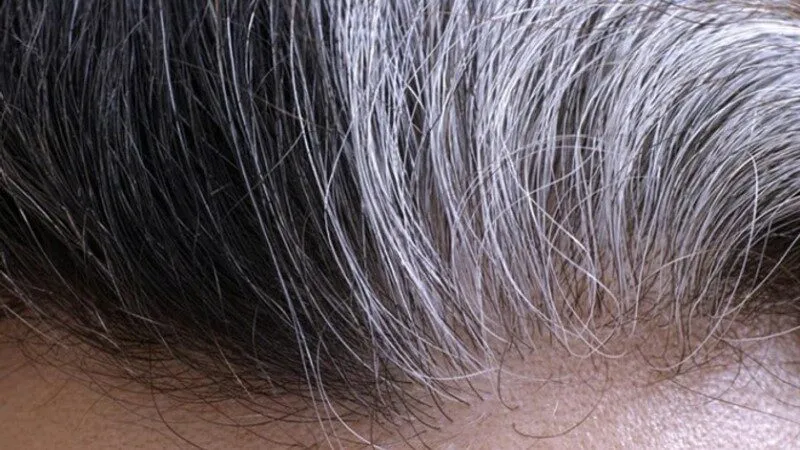 Nằm mơ thấy tóc bạc đánh số gì, Ý nghĩa nằm mơ thấy tóc bạc Nằm mơ thấy tóc bạc đánh số gì, Ý nghĩa nằm mơ thấy tóc bạc